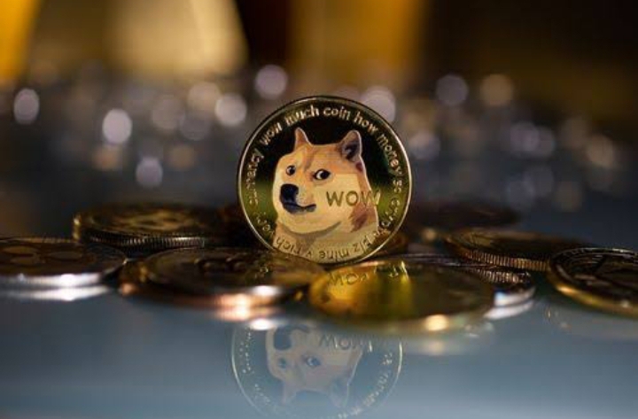 Dogecoin Dips Slightly as Market Holds Steady: Price at $0.162