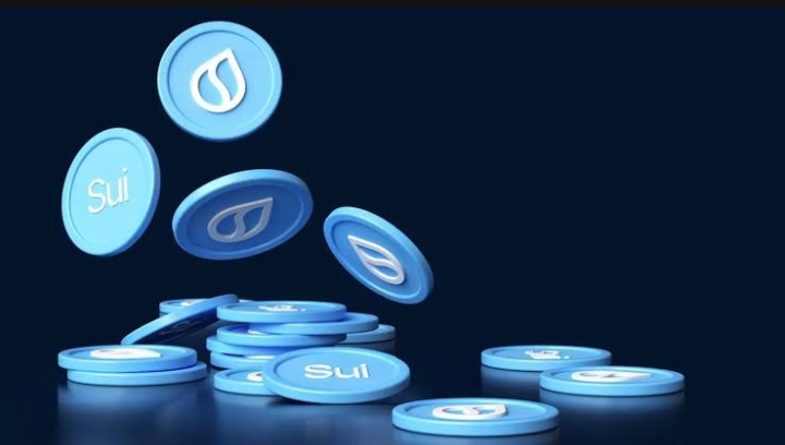 Nasdaq Firm Sparks SUI Rally: Lion Group Eyes Major Crypto Treasury Buy