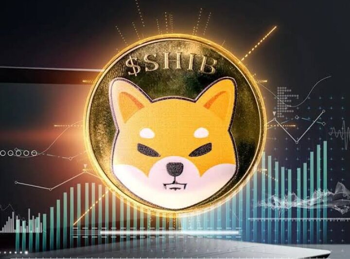Shiba Inu Partners with DegenSafe to Fight Rug Pulls and Reward SHIB Holders