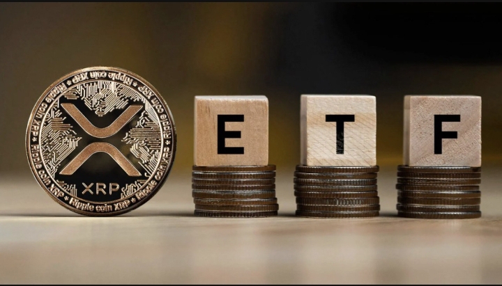 XRP ETF Momentum Builds as Critical July Deadlines Approach