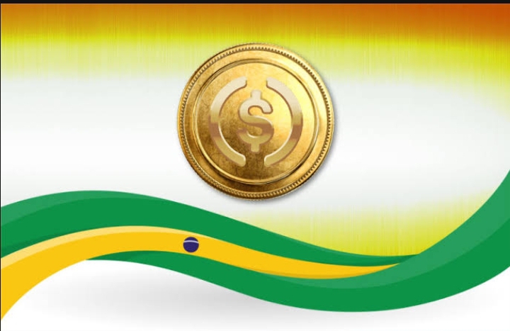 Brazil Embraces USDC for B2B Payments Through Strategic Partnerships