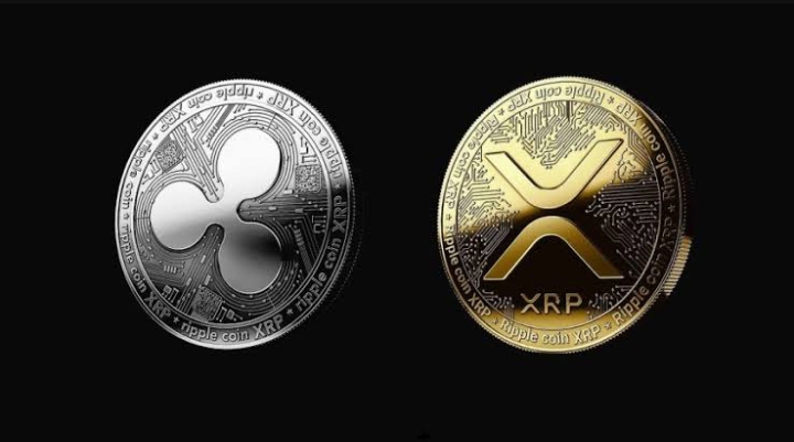 Ripple CTO Reinforces XRP’s Institutional Dominance Over RLUSD