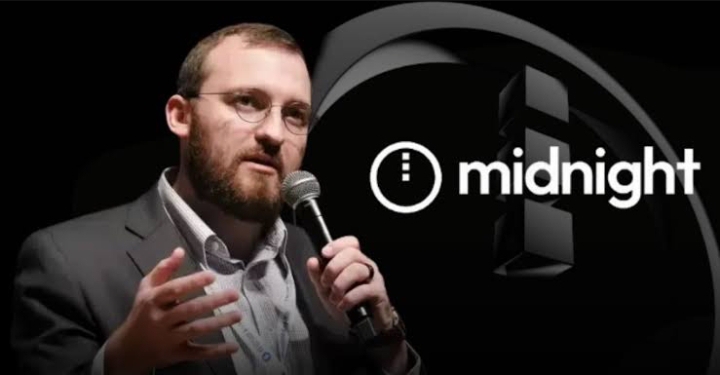 Hoskinson Blasts Cardano Foundation Over Midnight Airdrop Distribution Failures