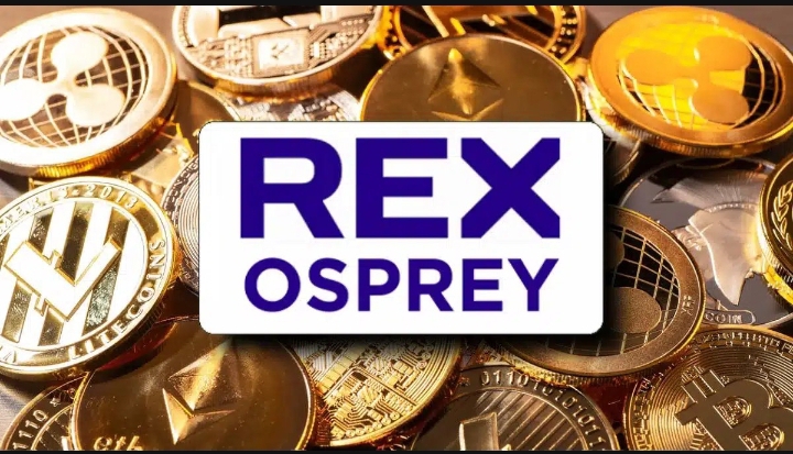 REX-Osprey DOJE ETF Marks Historic Dogecoin Launch in the United States