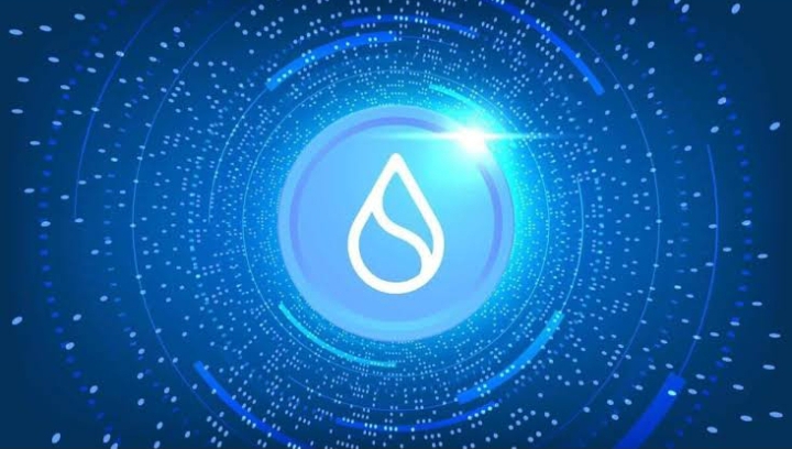 Mysten Labs Engages SEC Crypto Task Force for Sui Blockchain Regulatory Clarity