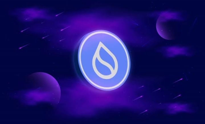 SUI Group Holdings Builds $344M Crypto Treasury Through Strategic Token Acquisition