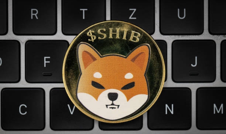 Shiba Inu LEASH V2 Migration Launches Within Days After Security Audit Completion