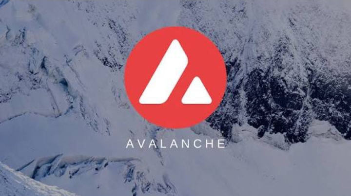 Bitwise Avalanche ETF Filing Signals Growing Institutional Demand for AVAX
