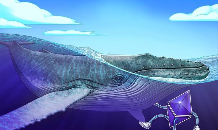 Bitcoin Whale’s Historic $4B Ethereum Buy Surpasses SharpLink Holdings