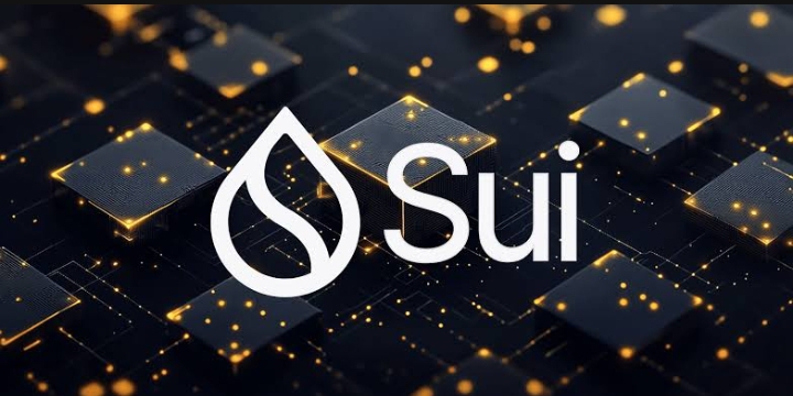 Sui Network Confirms Safety Amid NPM Supply Chain Attack Targeting Crypto Wallets