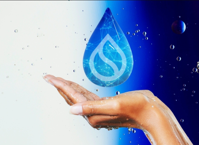 SUI Token Recovers with Double-Digit Rally After Market Crash