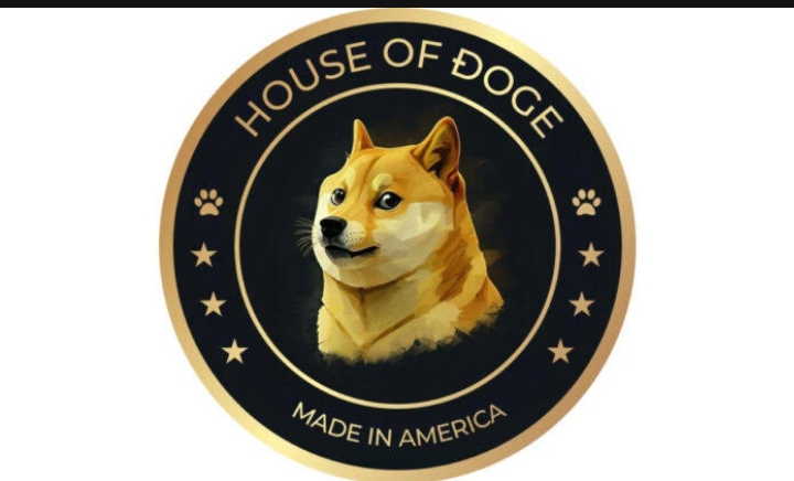 House of Doge Acquires Majority Stake in Italian Soccer Club US Triestina 1918