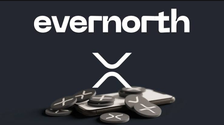 Evernorth Plans $1 Billion SPAC IPO to Build Largest Public XRP Treasury