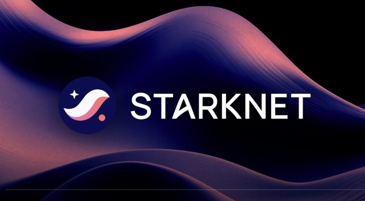 StarkNet and Decred Lead Altcoin Rally With Triple-Digit Gains